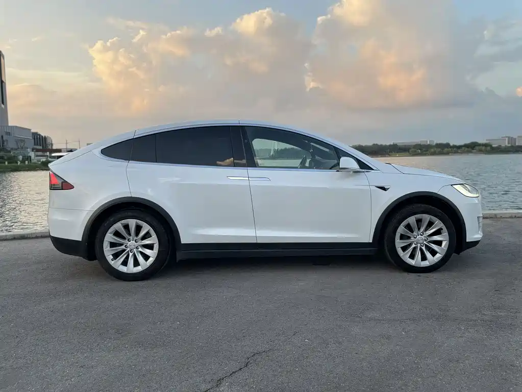 Tesla Model X — миниатюра 3