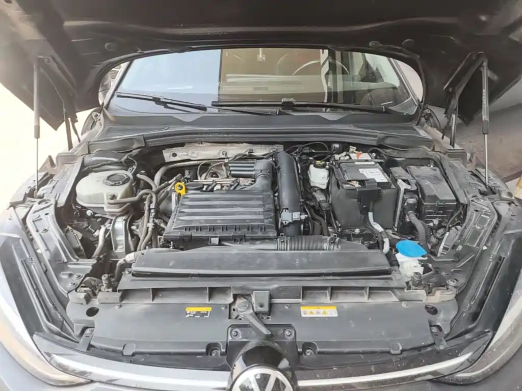 Volkswagen Lamando — миниатюра 25