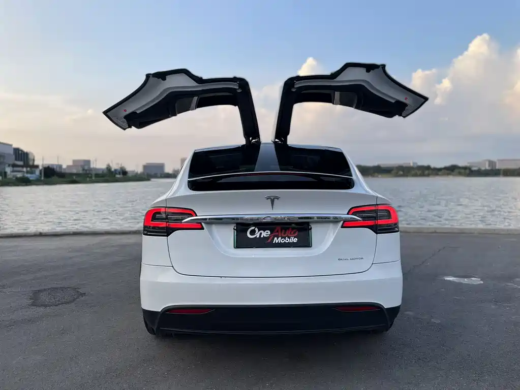 Tesla Model X — миниатюра 2