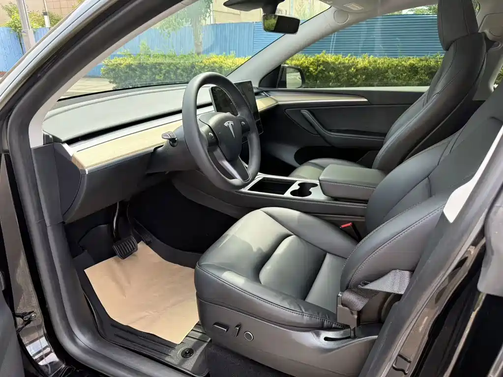 Tesla Model Y — миниатюра 4
