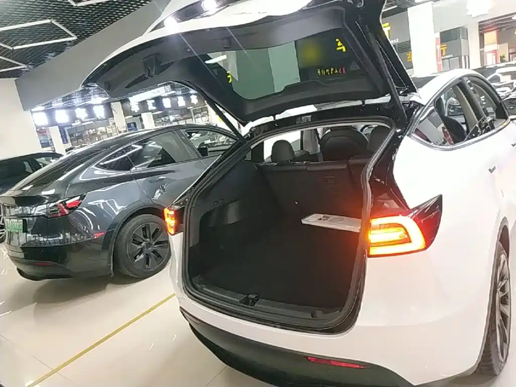 Tesla Model Y — миниатюра 19