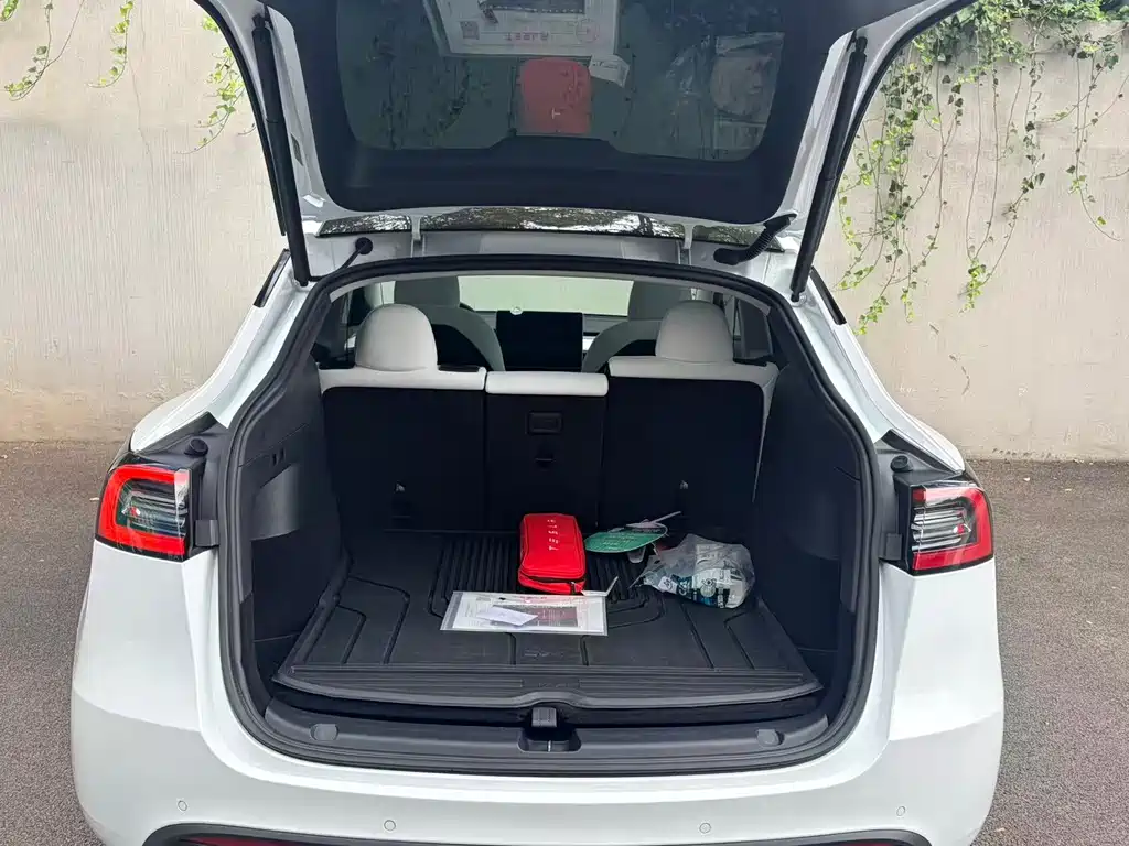 Tesla Model Y — миниатюра 7