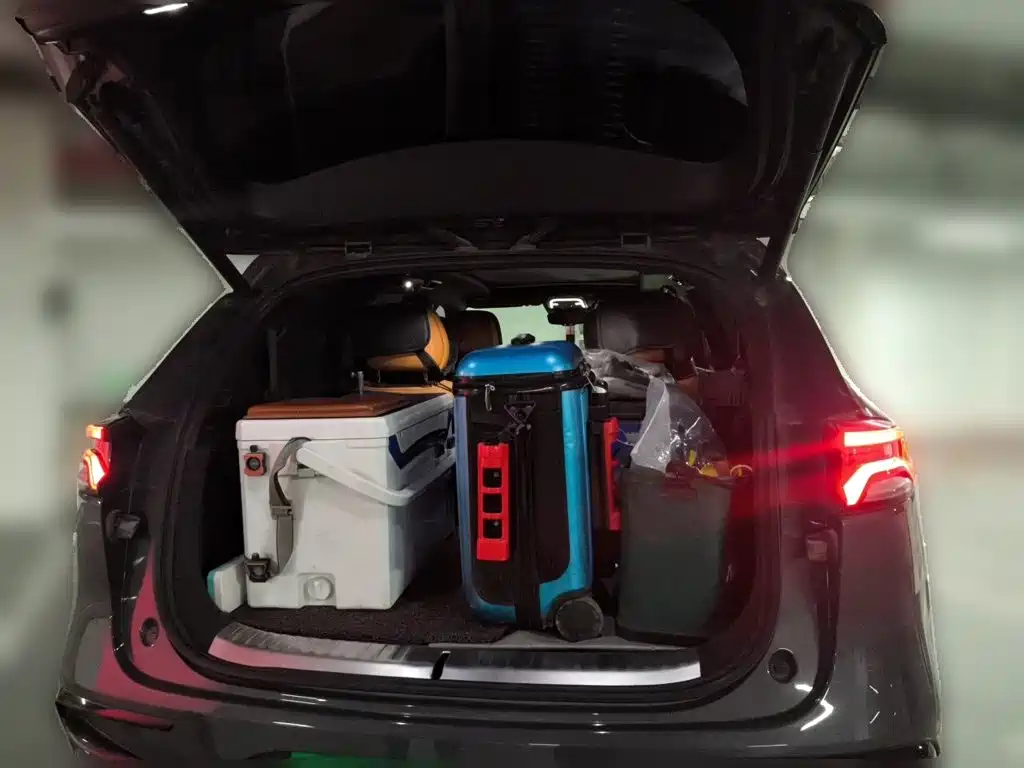 BYD Tang New Energy — миниатюра 10