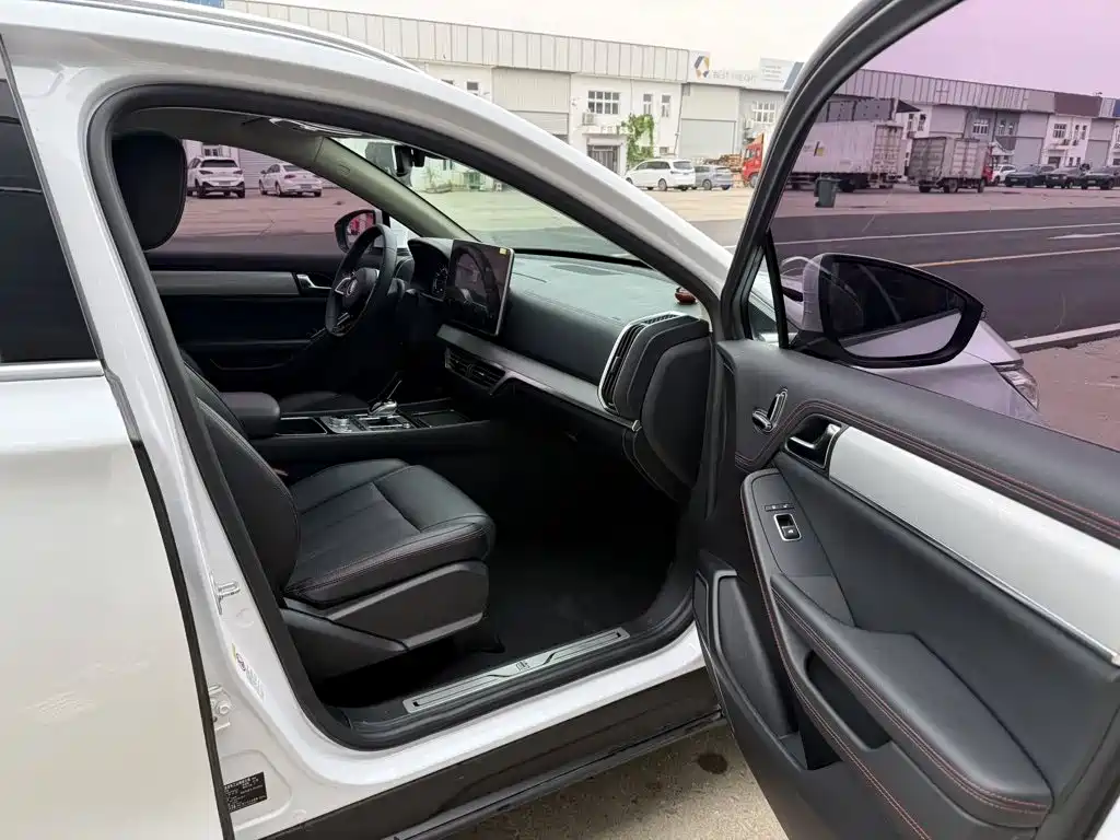 BYD Tang New Energy — миниатюра 17