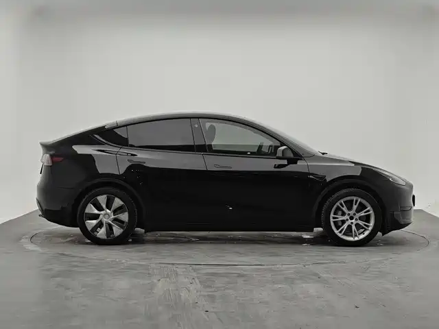 Tesla Model Y — миниатюра 4