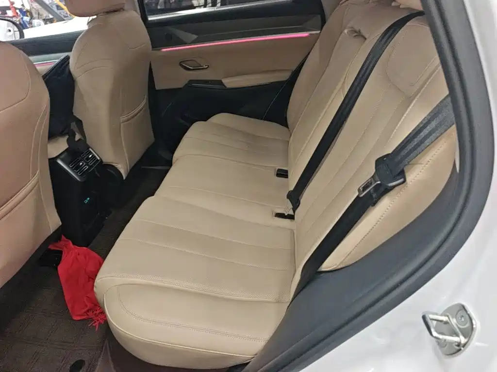 BYD Pro New Energy — миниатюра 17