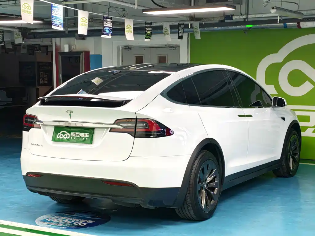 Tesla Model X — миниатюра 19