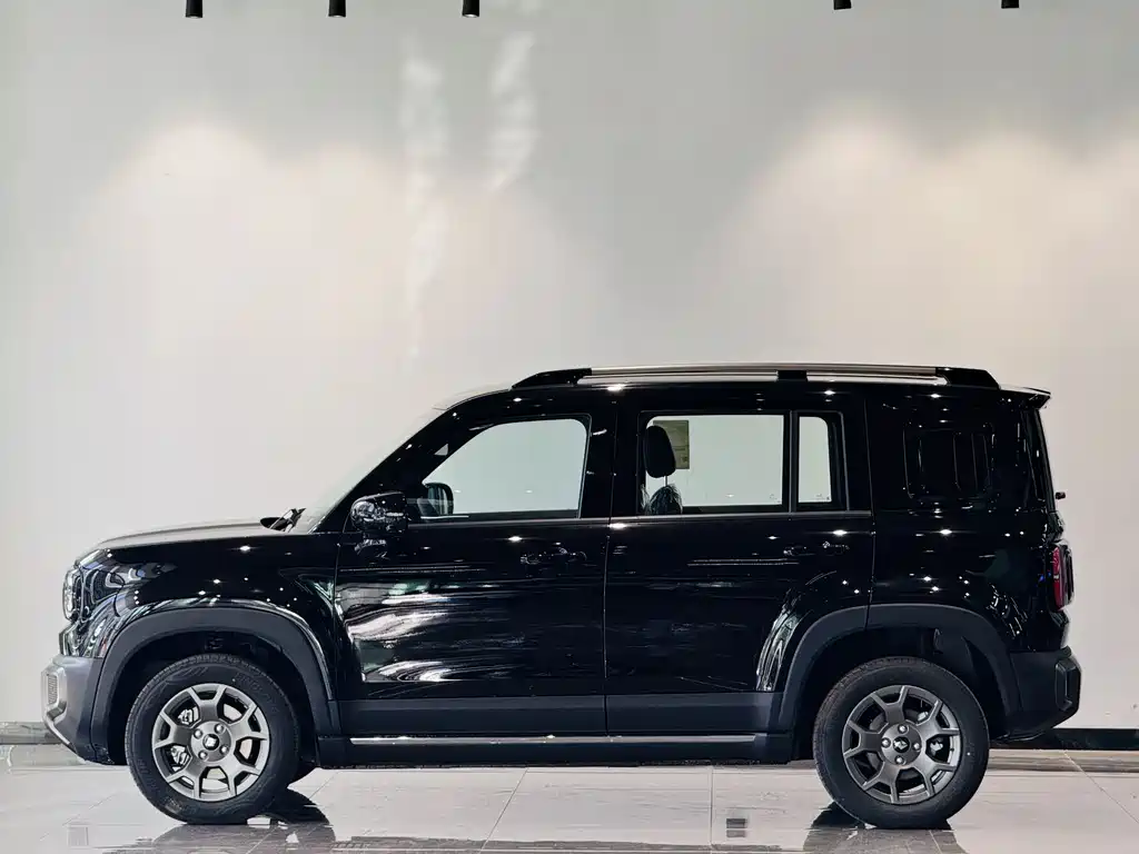 BAOJUN YUE ALSO PLUS