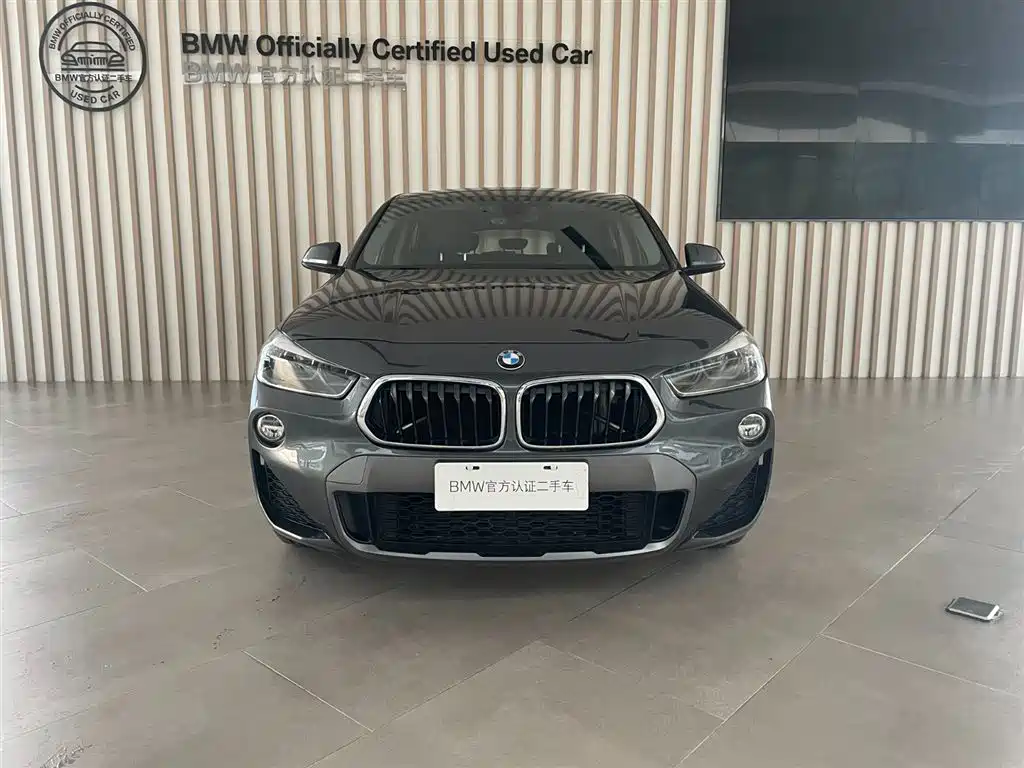 BMW X2 (Import) — миниатюра 2