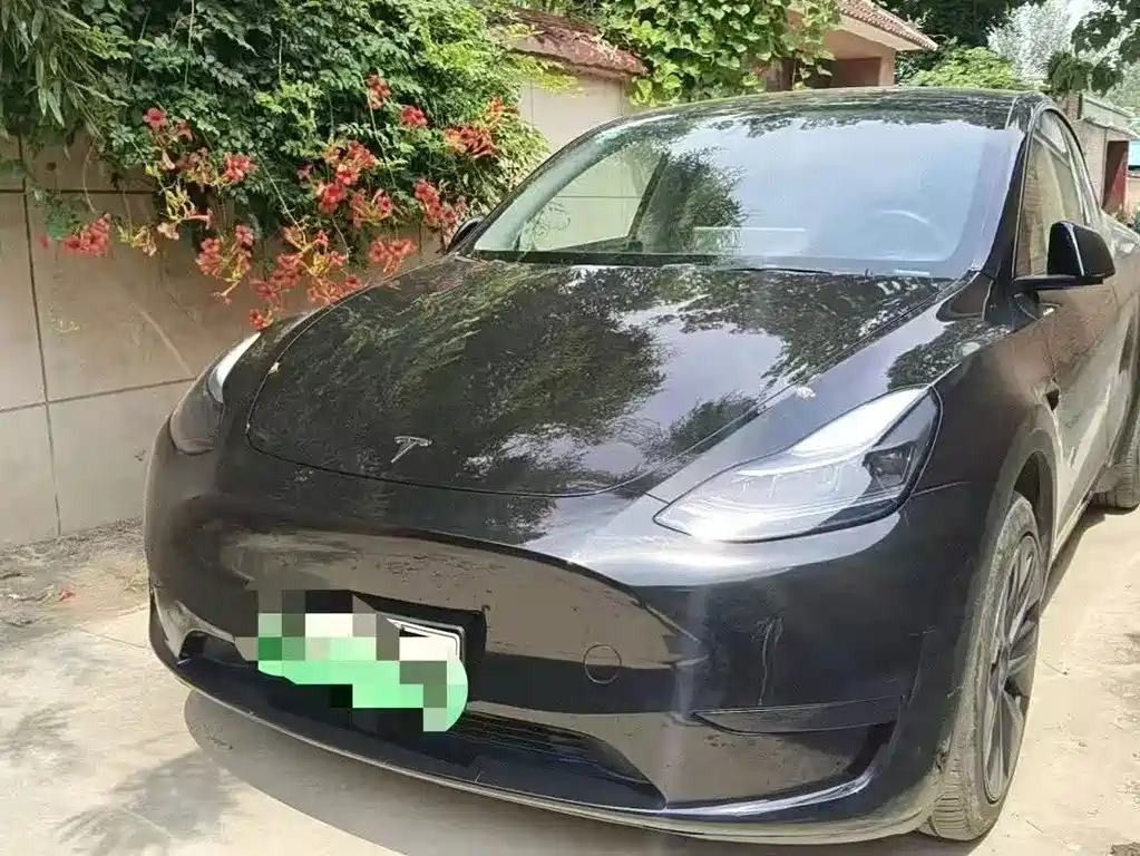 Tesla Model Y — миниатюра 2