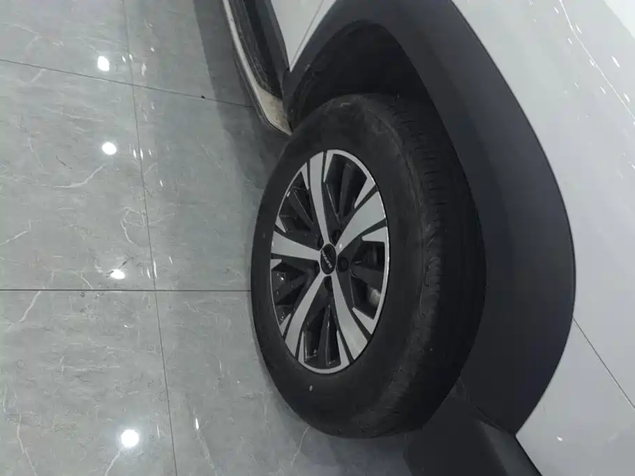 Haval Big Dog — миниатюра 6