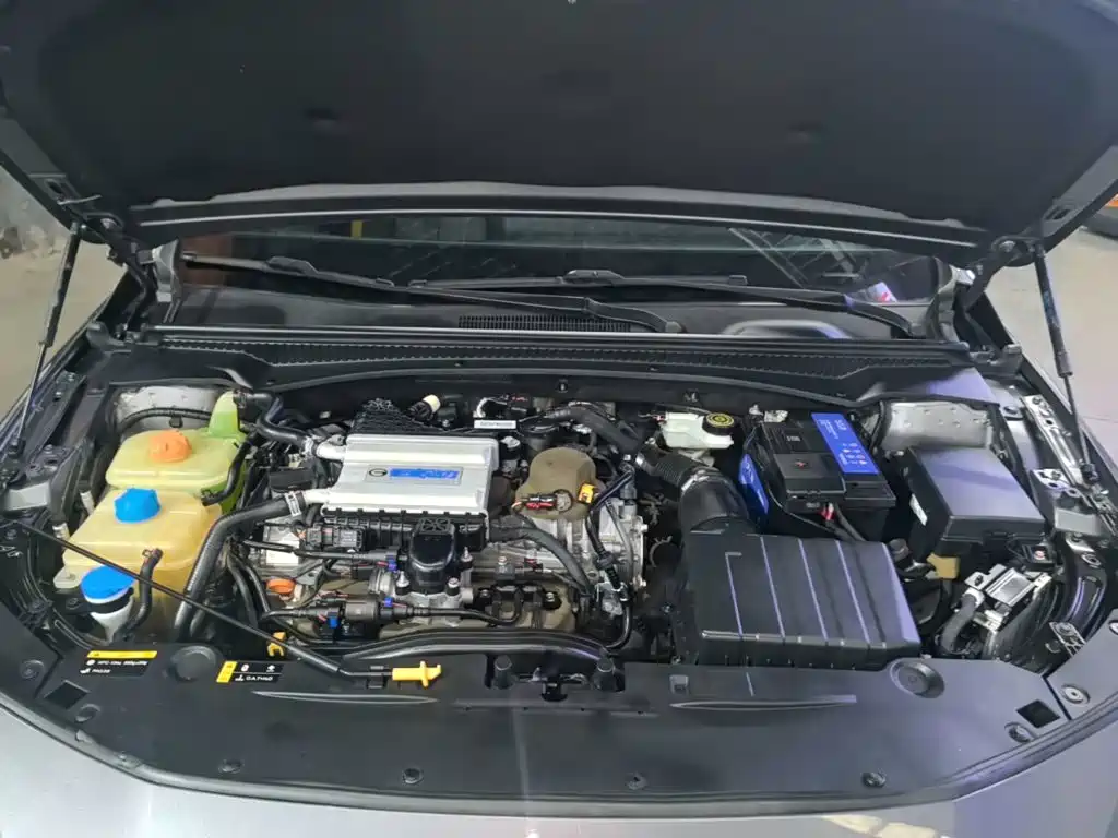 GAC Motor Shadow Leopard — миниатюра 20