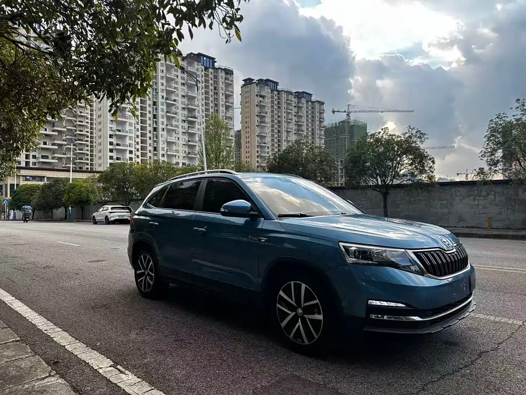 Skoda Kamiq — миниатюра 2