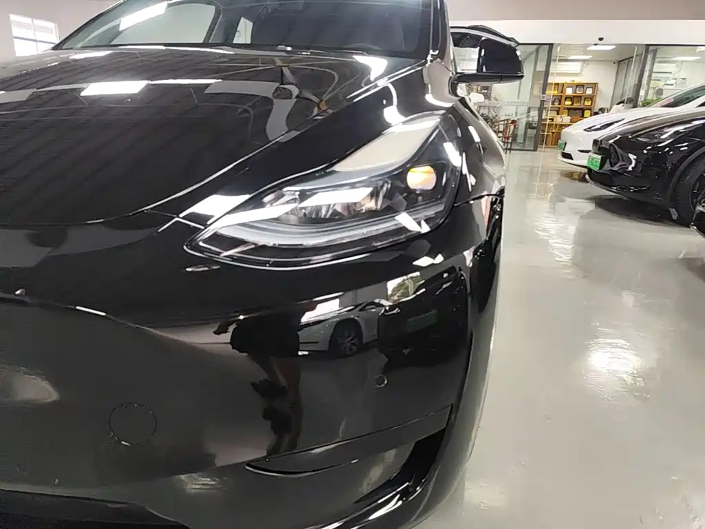 Tesla Model Y — миниатюра 24
