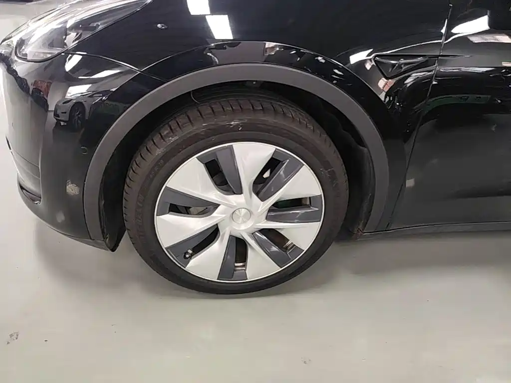 Tesla Model Y — миниатюра 23
