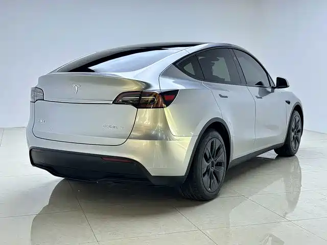 Tesla Model Y — миниатюра 7