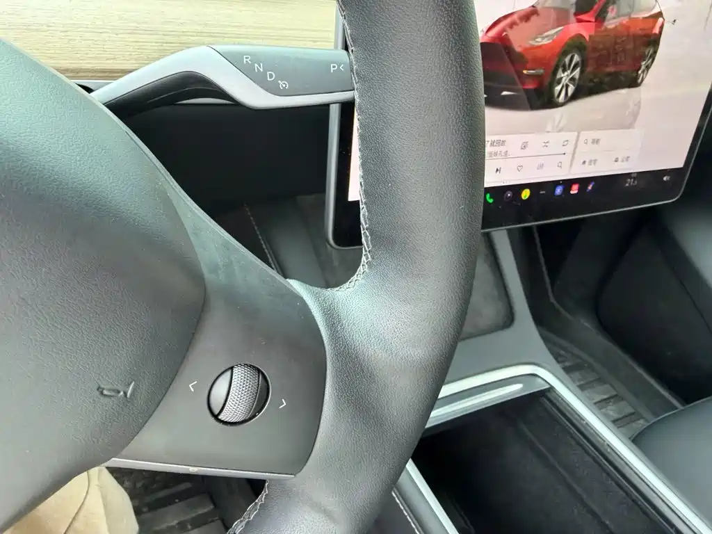 Tesla Model Y — миниатюра 10