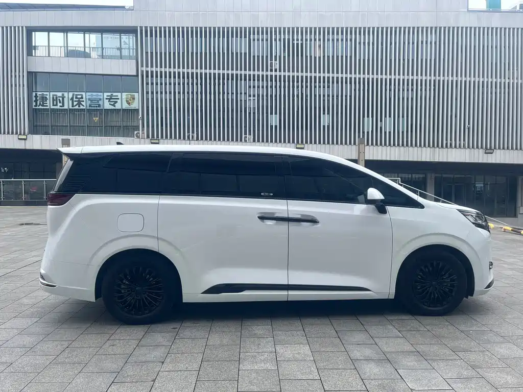 Denza Denza D9 — миниатюра 6
