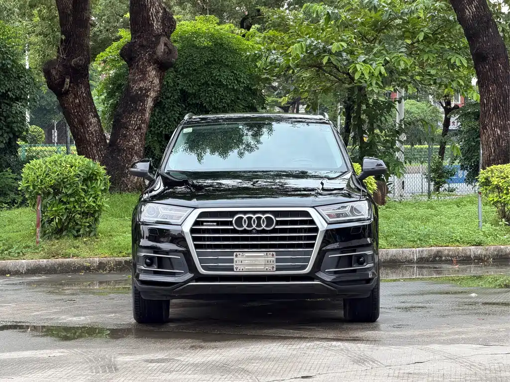 Audi Q7 — миниатюра 2