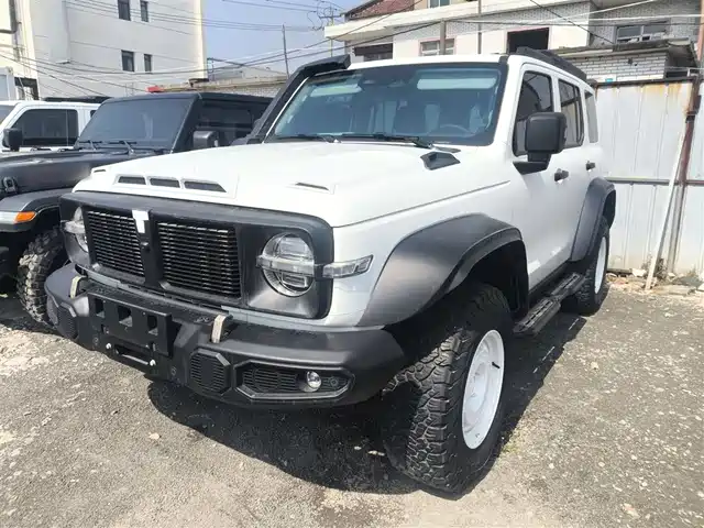 2024 TANK 300