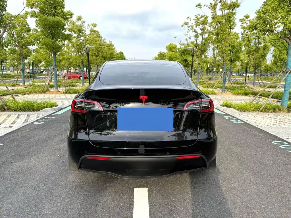Tesla Model Y — миниатюра 12