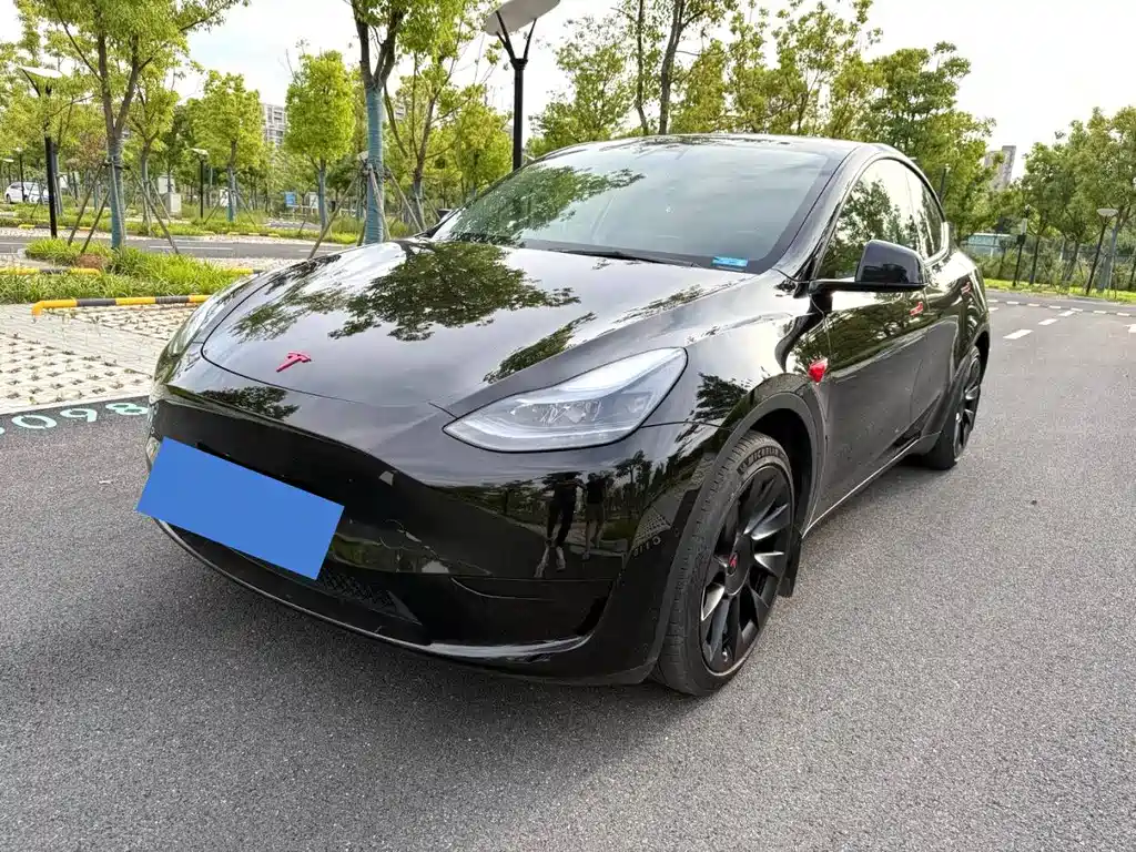 Tesla Model Y — миниатюра 2