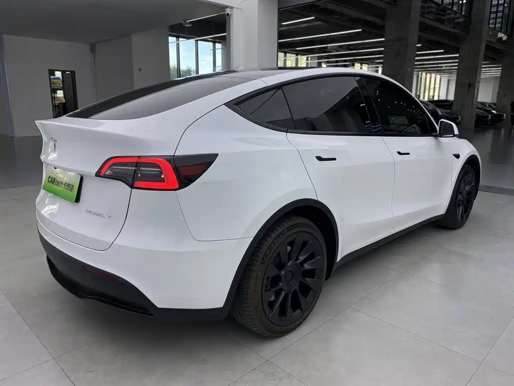 Tesla Model Y — миниатюра 4