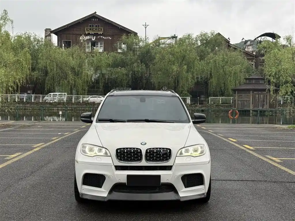 BMW X5 2010 X5 M