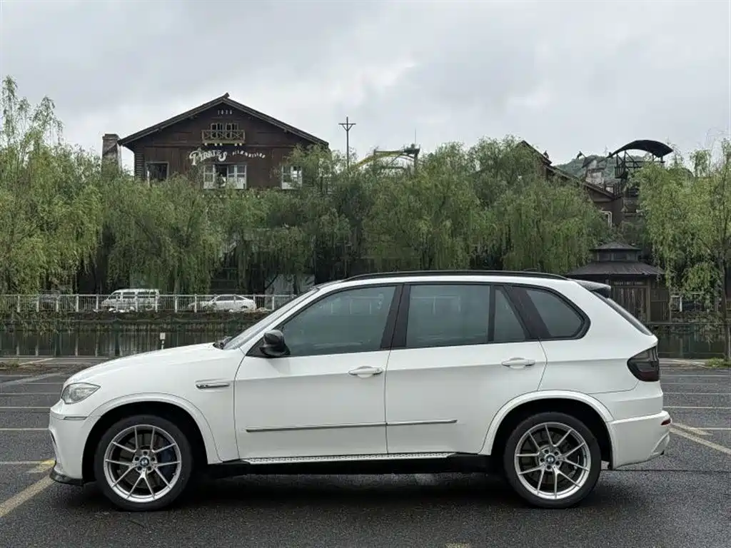 BMW X5 2010 X5 M