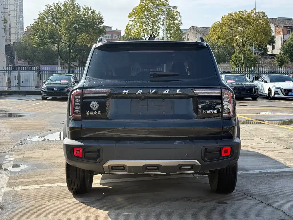 HAVAL BIG DOG