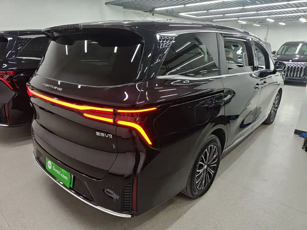 Fengxing Xinghai V9 — миниатюра 7
