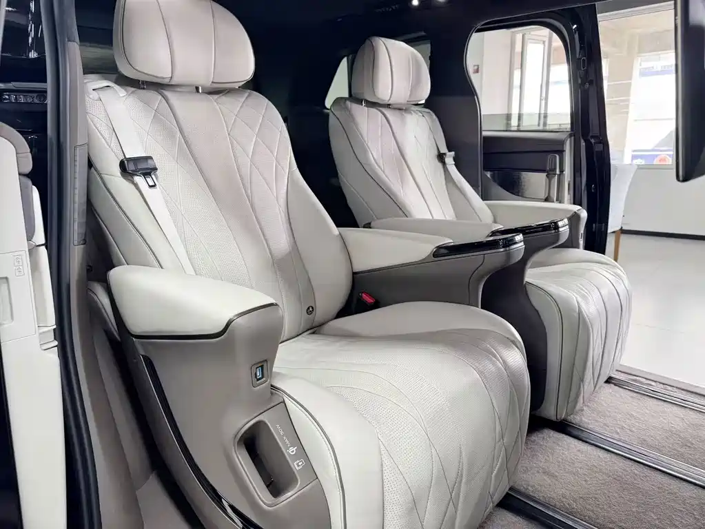 Denza Denza D9 — миниатюра 9