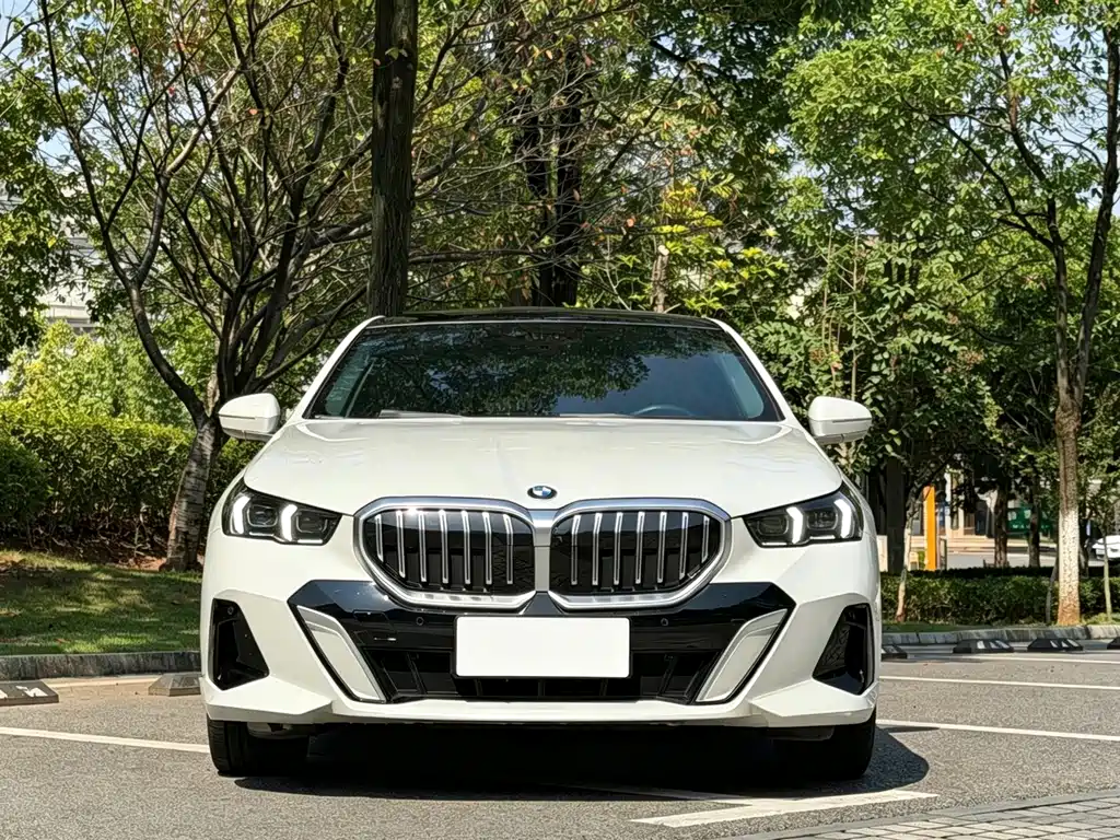 BMW 5 Series — миниатюра 2