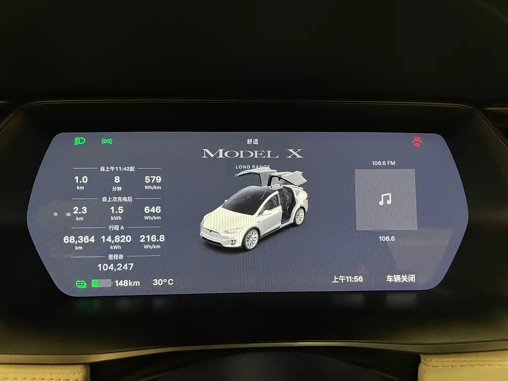 Tesla Model X — миниатюра 13
