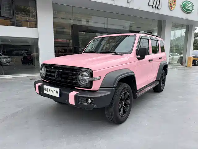2021 TANK 300