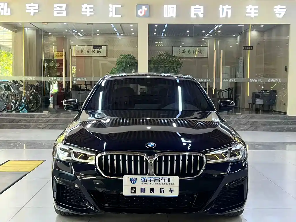 BMW 5 SERIES