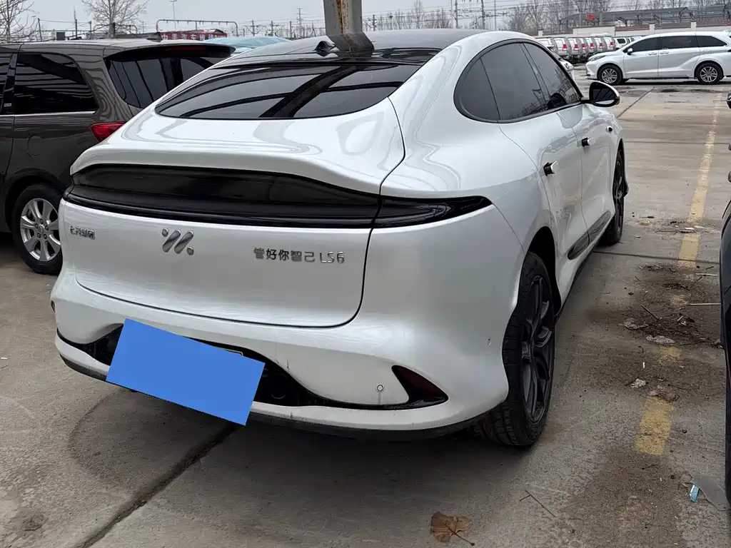 ZHIJI AUTOMOBILE ZHIJI LS6