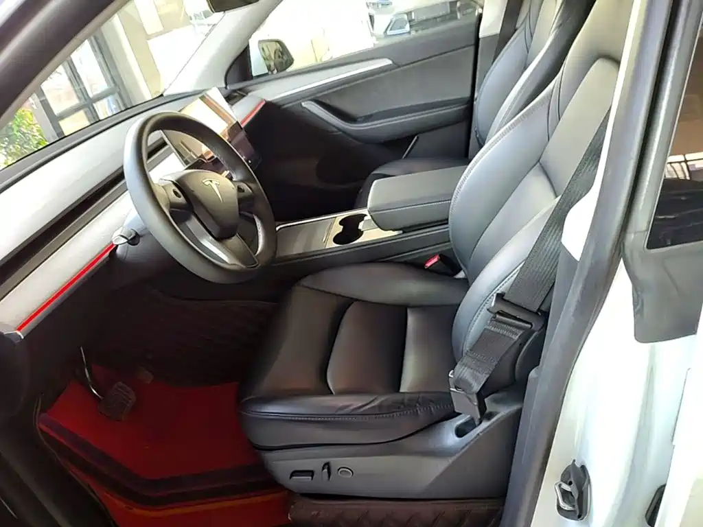 Tesla Model Y — миниатюра 15
