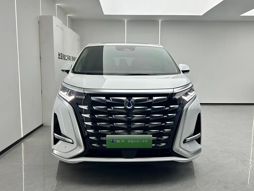 Denza Denza D9 — миниатюра 2
