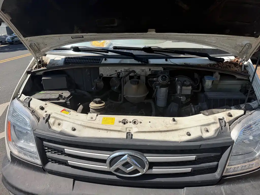 MAXUS V80 — миниатюра 9