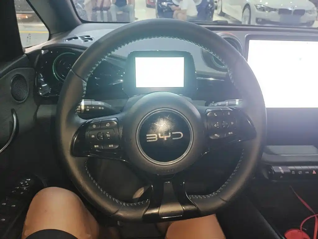 BYD Dolphin — миниатюра 7