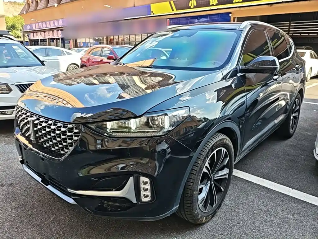 Wey Wey VV6 — миниатюра 2