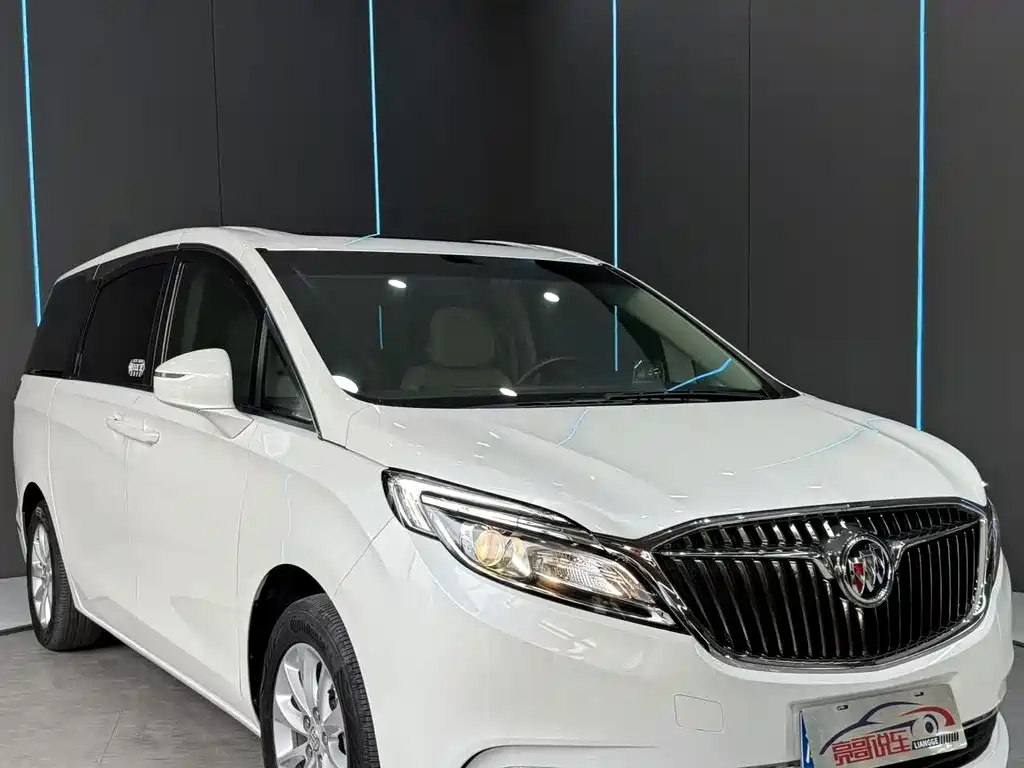 Buick GL8 — миниатюра 3