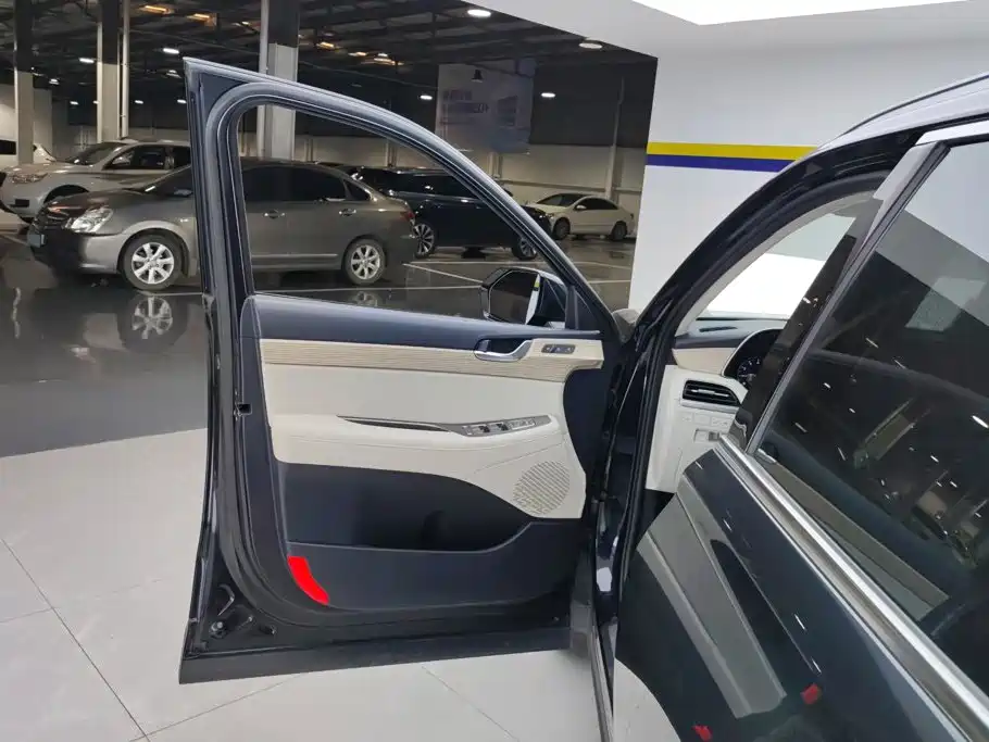 Hyundai Palisade — миниатюра 7