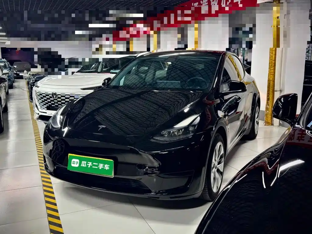 Tesla Model Y — миниатюра 2