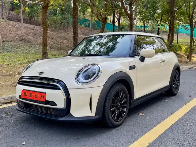 MINI 