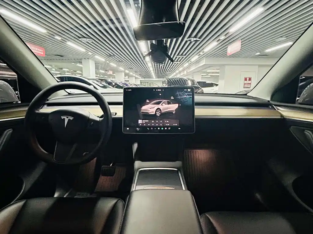 Tesla Model Y — миниатюра 6