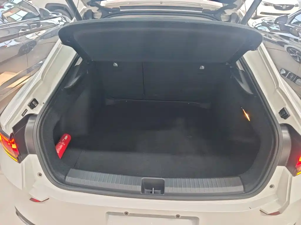 Volkswagen Lamando — миниатюра 19