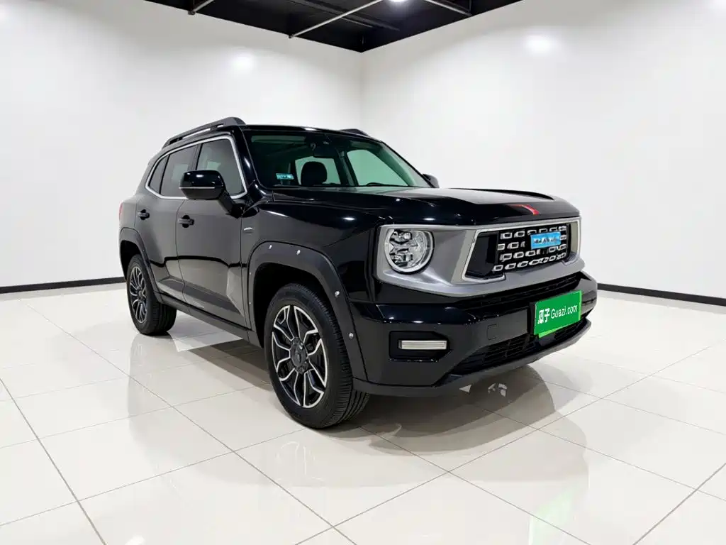 Haval Big Dog PLUS New Energy — миниатюра 3