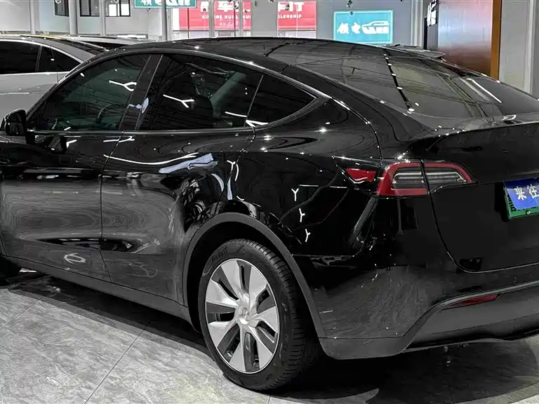 Tesla Model Y — миниатюра 3
